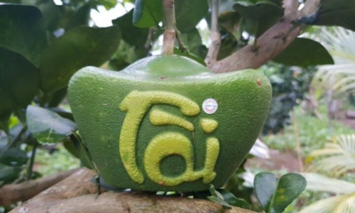 ảnh 3