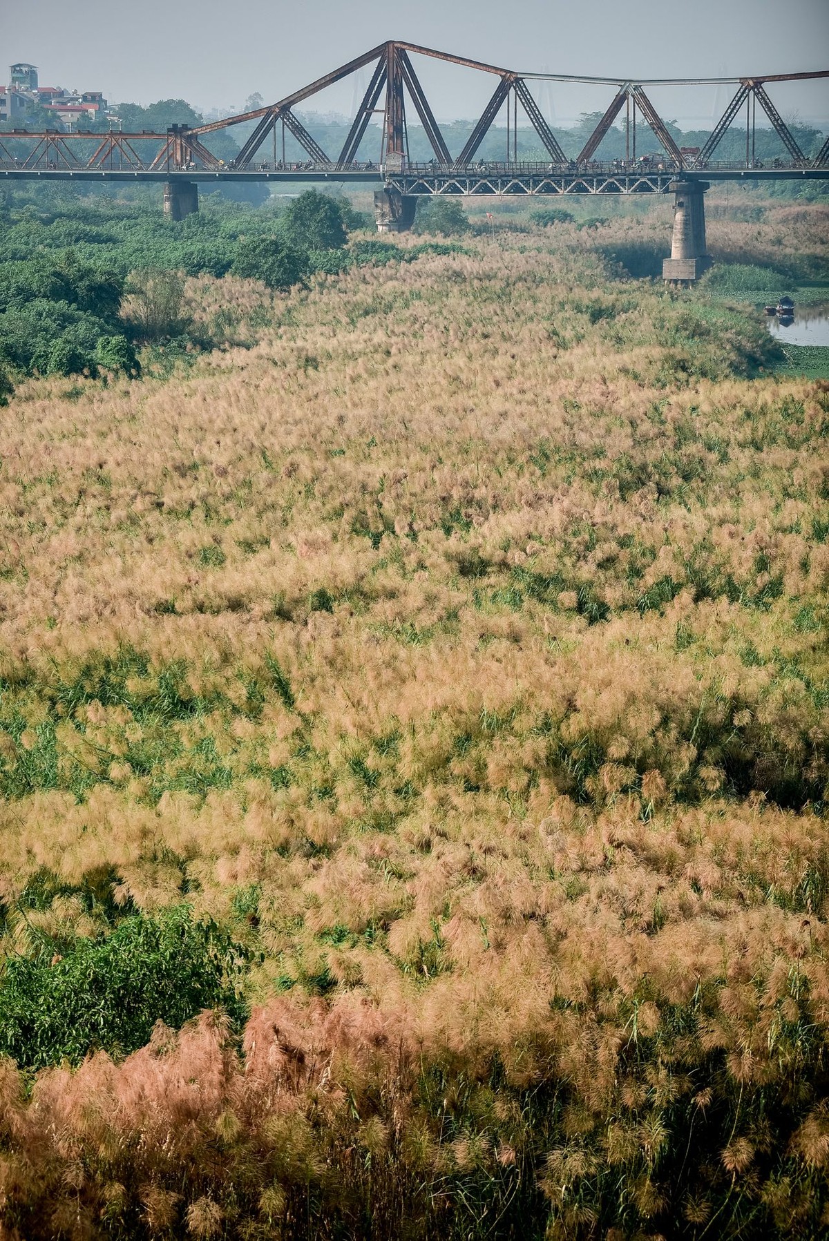 ảnh 7