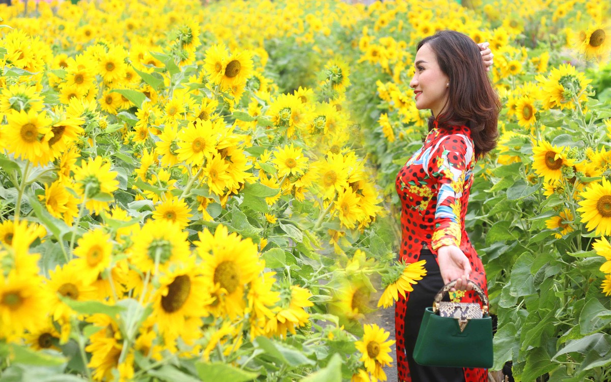Thiếu nữ Sài Gòn đón xuân cùng tà áo dài truyền thống ảnh 6
