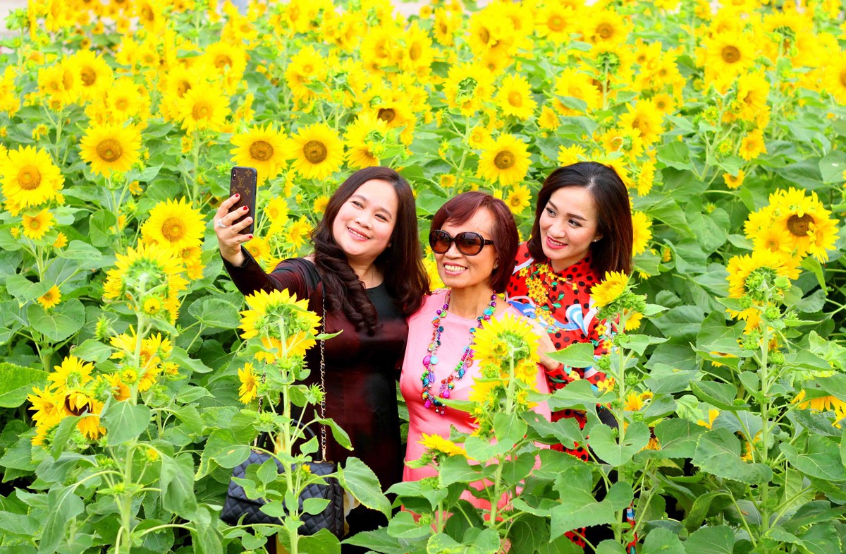 Thiếu nữ Sài Gòn đón xuân cùng tà áo dài truyền thống ảnh 7