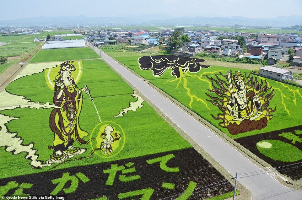 ảnh 7