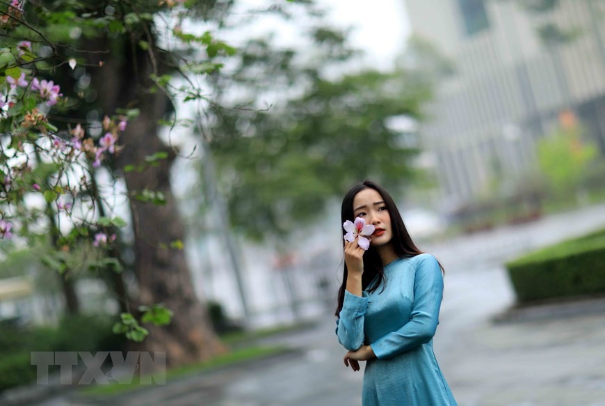 Dịu dàng mùa hoa ban tháng 2 trên đường phố Thủ đô ảnh 10