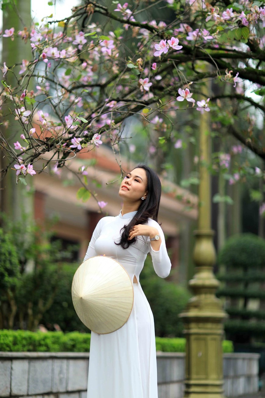 Dịu dàng mùa hoa ban tháng 2 trên đường phố Thủ đô ảnh 3