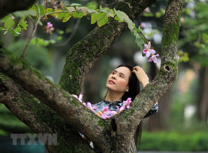 Dịu dàng mùa hoa ban tháng 2 trên đường phố Thủ đô ảnh 9