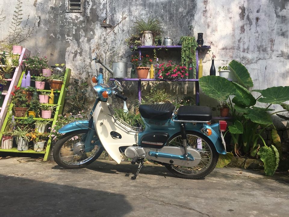 ảnh 7