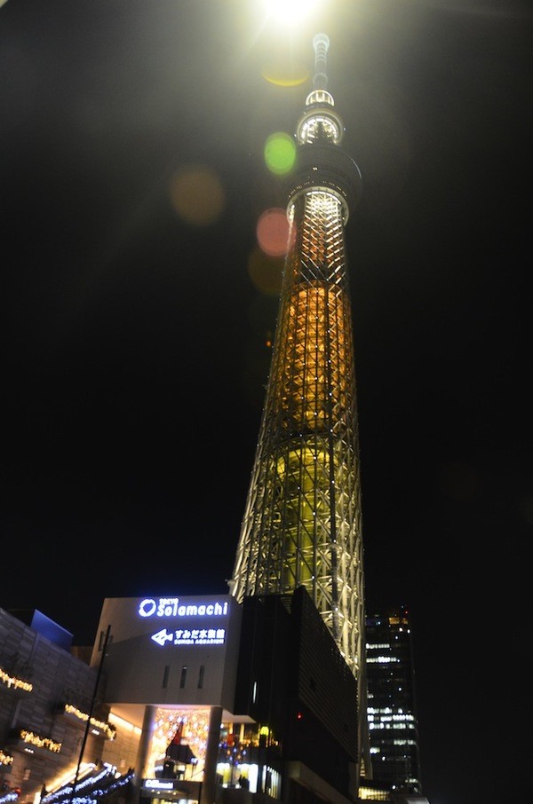 ảnh 8