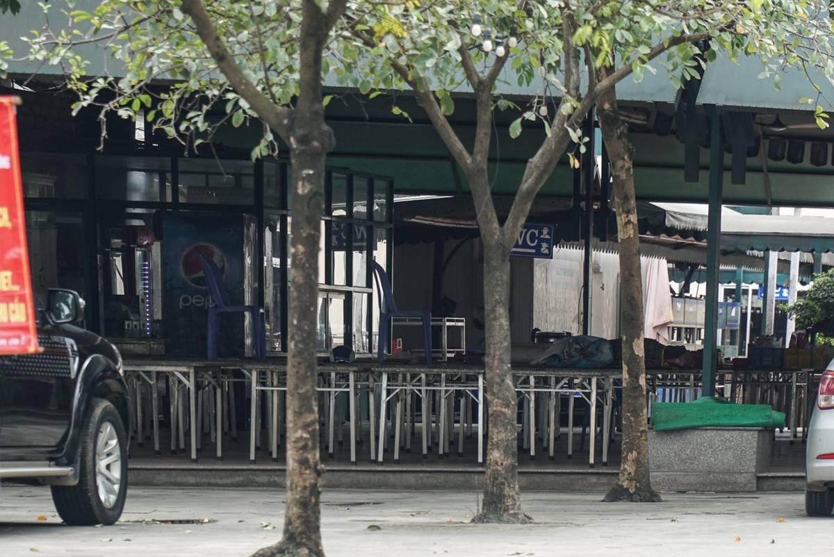 ảnh 5