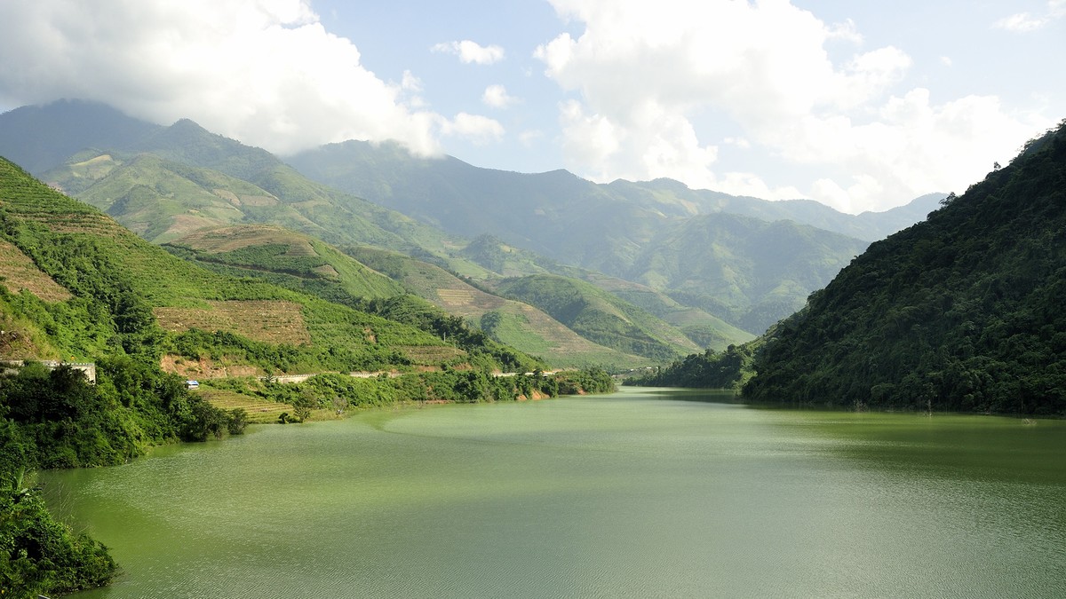 Cá ngần sông Đà: Đến hẹn lại lên ảnh 5