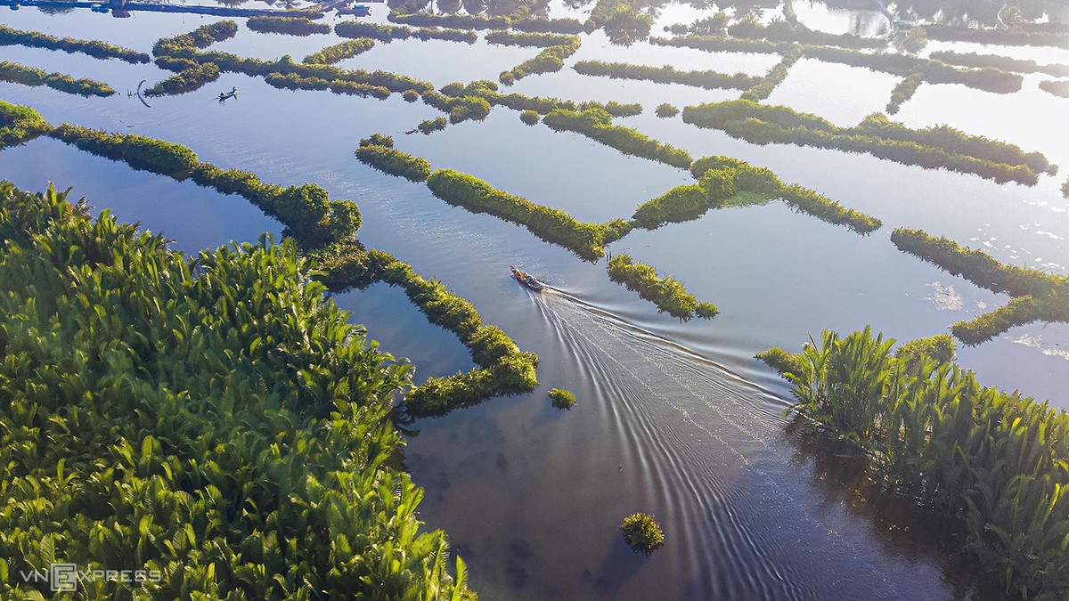 Rừng dừa nước nằm ngay bờ biển Mỹ Khê ảnh 4