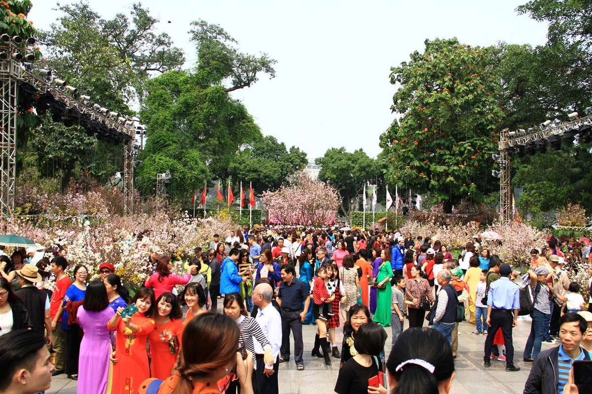 Người Hà Nội “mê tít” hoa Anh đào ảnh 1