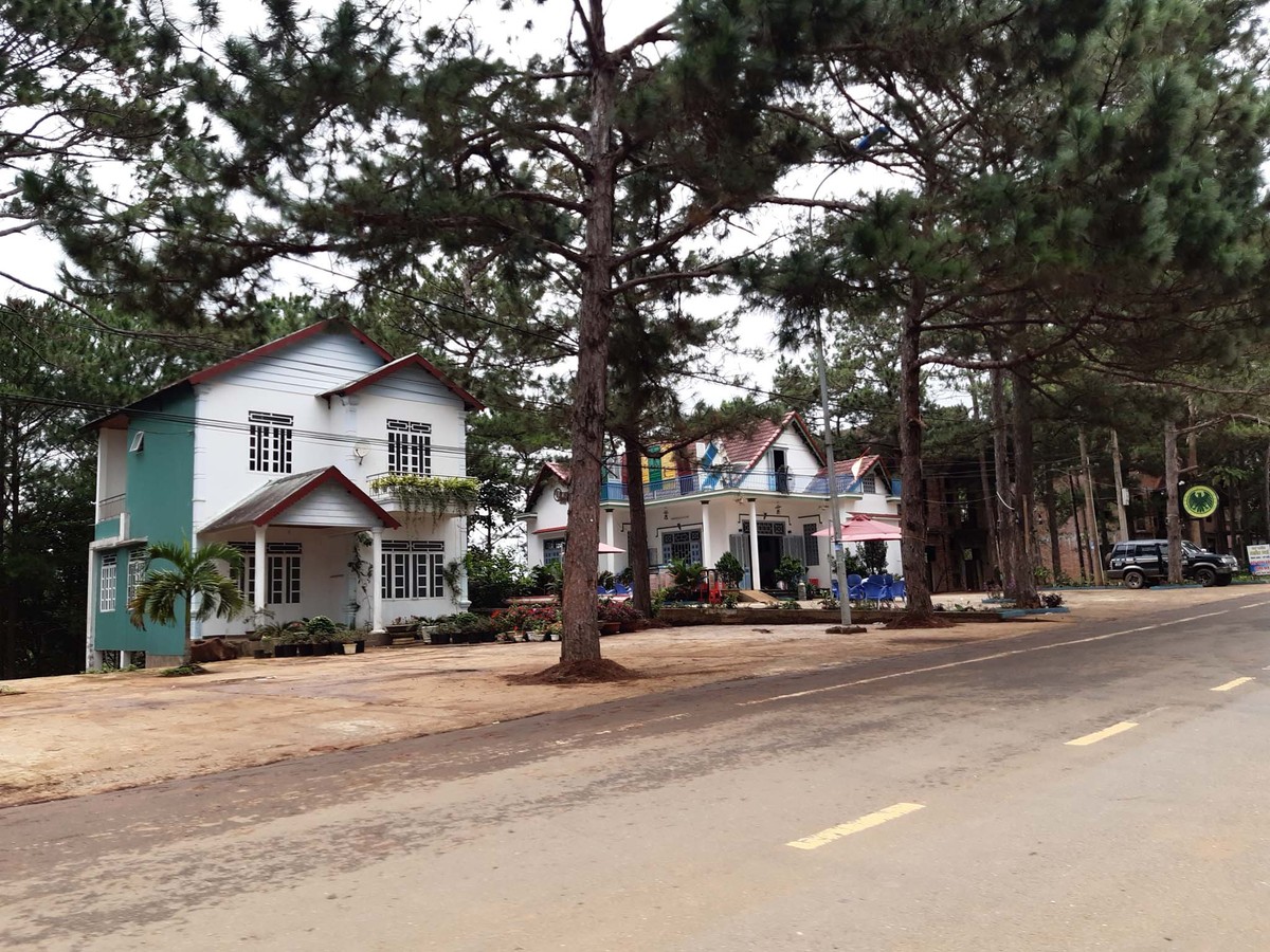 Với Tây Nguyên ảnh 8
