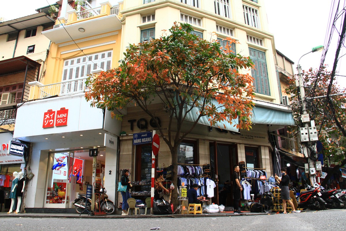Có một mùa Thu giữa mùa Xuân Hà Nội ảnh 7