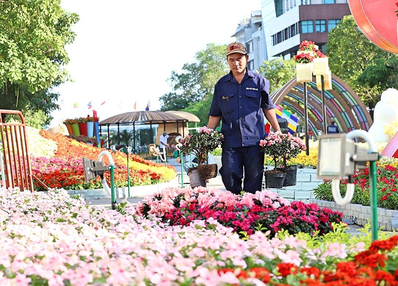 Tất bật hoàn thành đường hoa Nguyễn Huệ 2020 ảnh 7