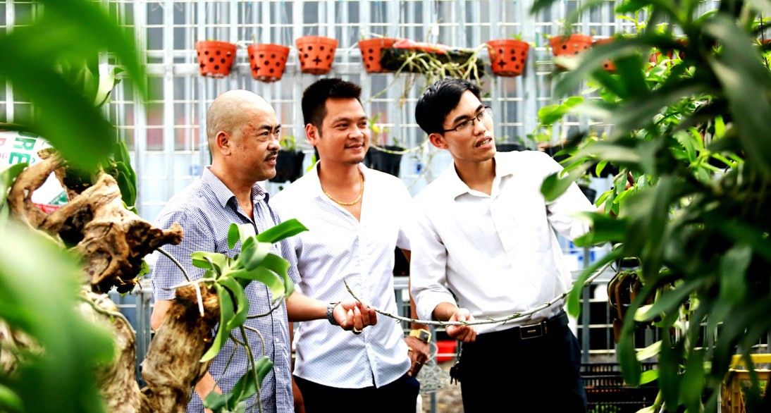 Chiêm ngưỡng 70 loài lan quý tại Hội quán hoa lan Mê Linh ảnh 14