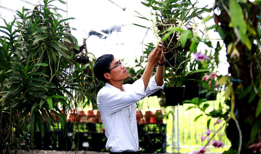Chiêm ngưỡng 70 loài lan quý tại Hội quán hoa lan Mê Linh ảnh 3