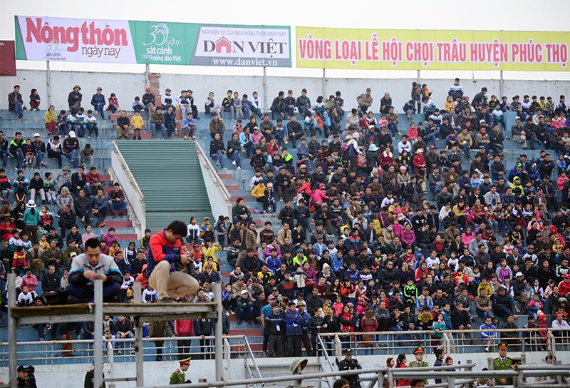Người dân nô nức đi xem chọi trâu ngày đầu năm mới ảnh 1