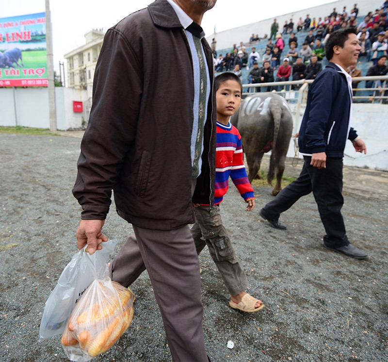 Người dân nô nức đi xem chọi trâu ngày đầu năm mới ảnh 2