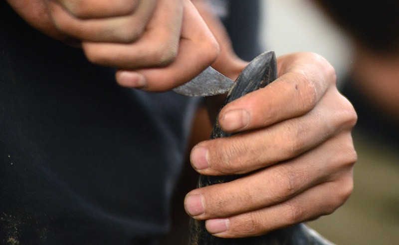 Người dân nô nức đi xem chọi trâu ngày đầu năm mới ảnh 4