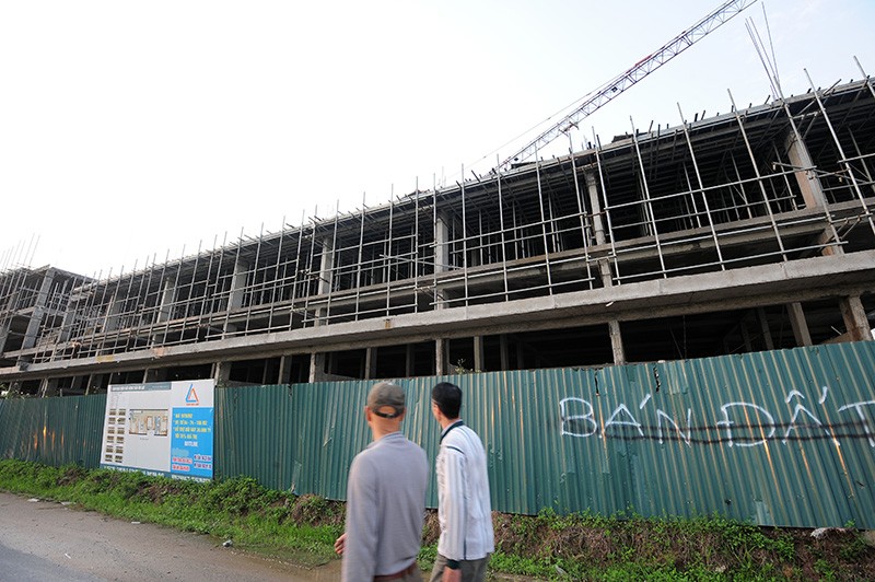 Phơi miến, chăn bò tại dự án đại gia “điếu cày” mới sắm ảnh 12