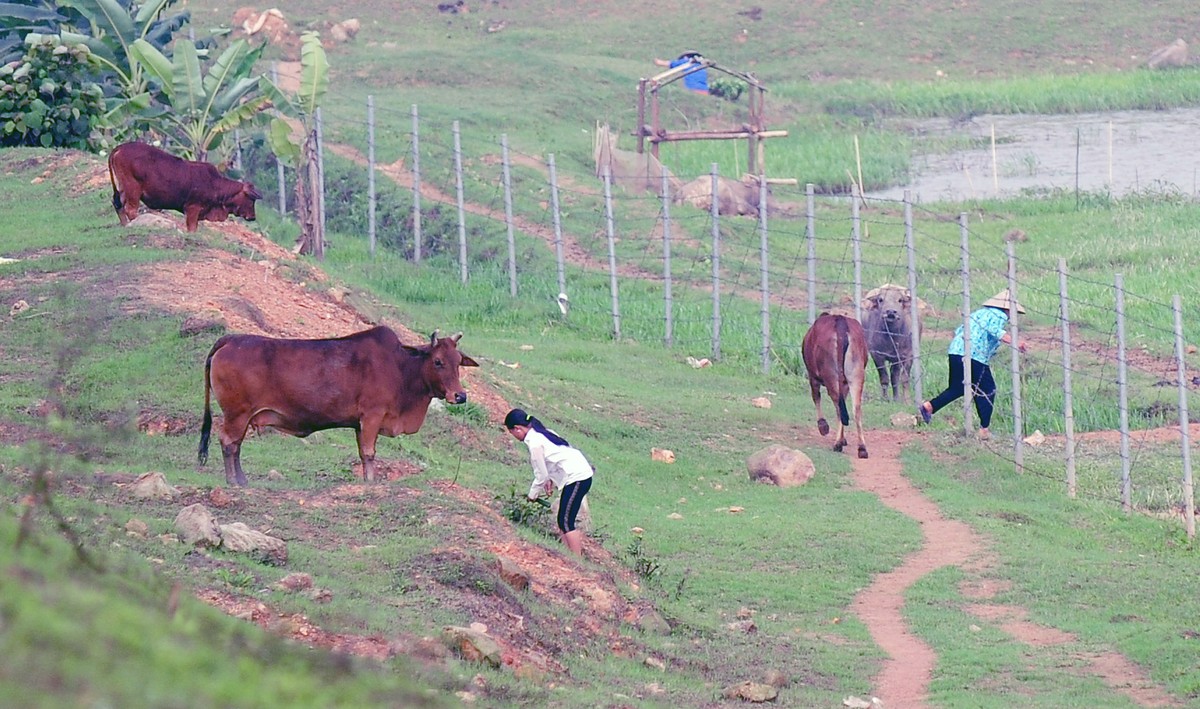 Giỡn với tử thần trên đường cao tốc Nội Bài – Lào Cai ảnh 7