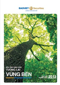 Soi hiệu quả kinh doanh của 10 doanh nghiệp có báo cáo thường niên tốt nhất ảnh 9