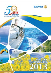 Soi hiệu quả kinh doanh của 10 doanh nghiệp có báo cáo thường niên tốt nhất ảnh 3