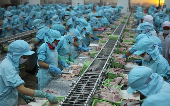 Hợp sức đưa con tàu kinh tế về đích tăng trưởng (KỲ 4): Công nghiệp và xuất khẩu, hai mũi giáp công tiến đích ảnh 4 Cổ phiếu thủy sản vô cảm với sức tăng xuất khẩu, vì sao?