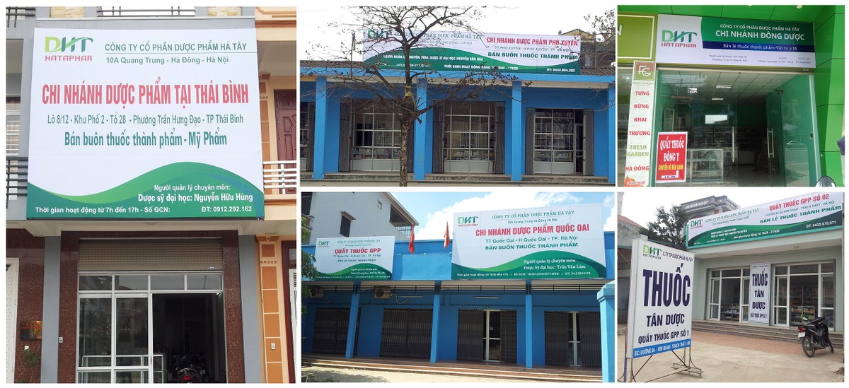 Dược Hà Tây (DHT) chắc nội, hướng ngoại ảnh 1 Dược Hà Tây (DHT) chắc nội, hướng ngoại ảnh 1