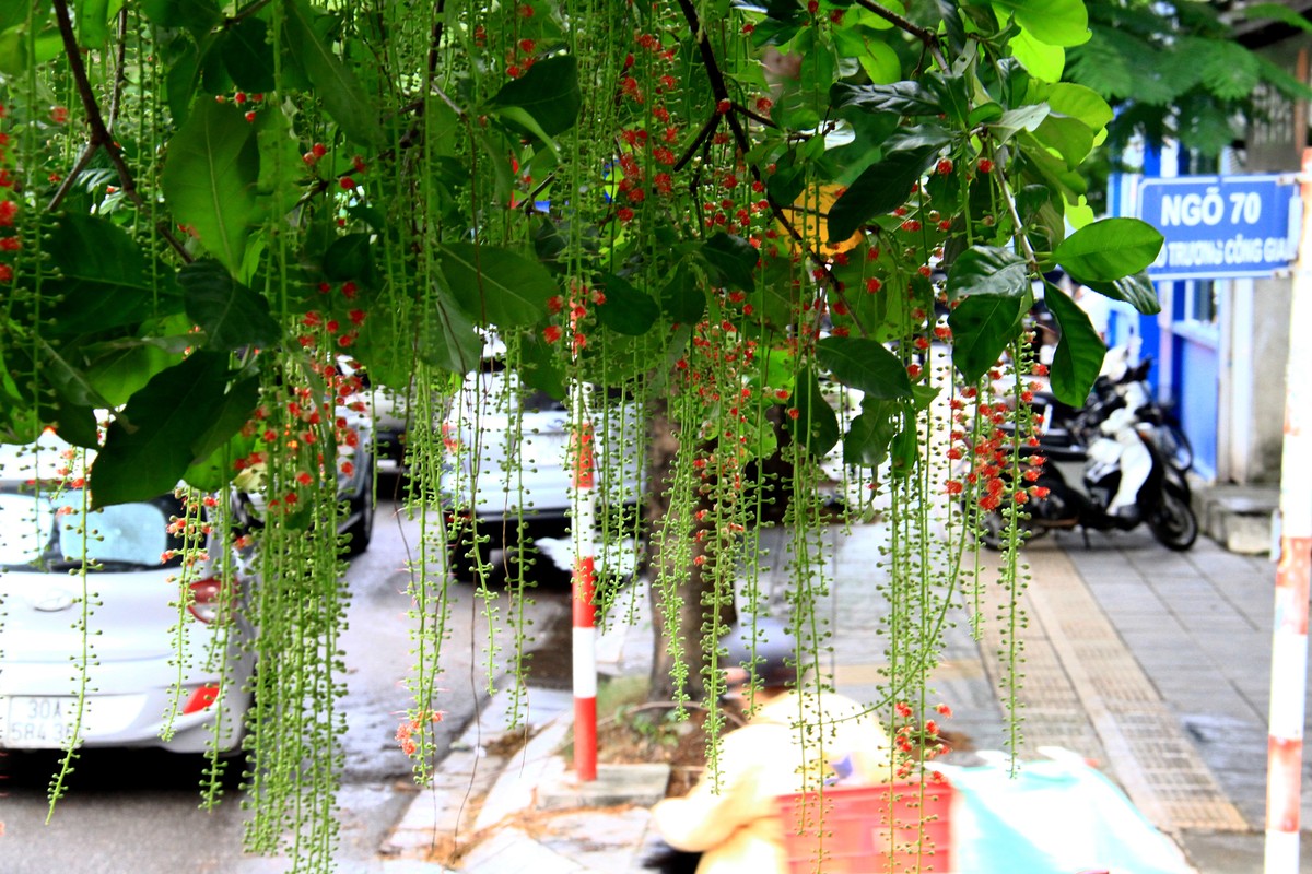 Ở một góc phố.