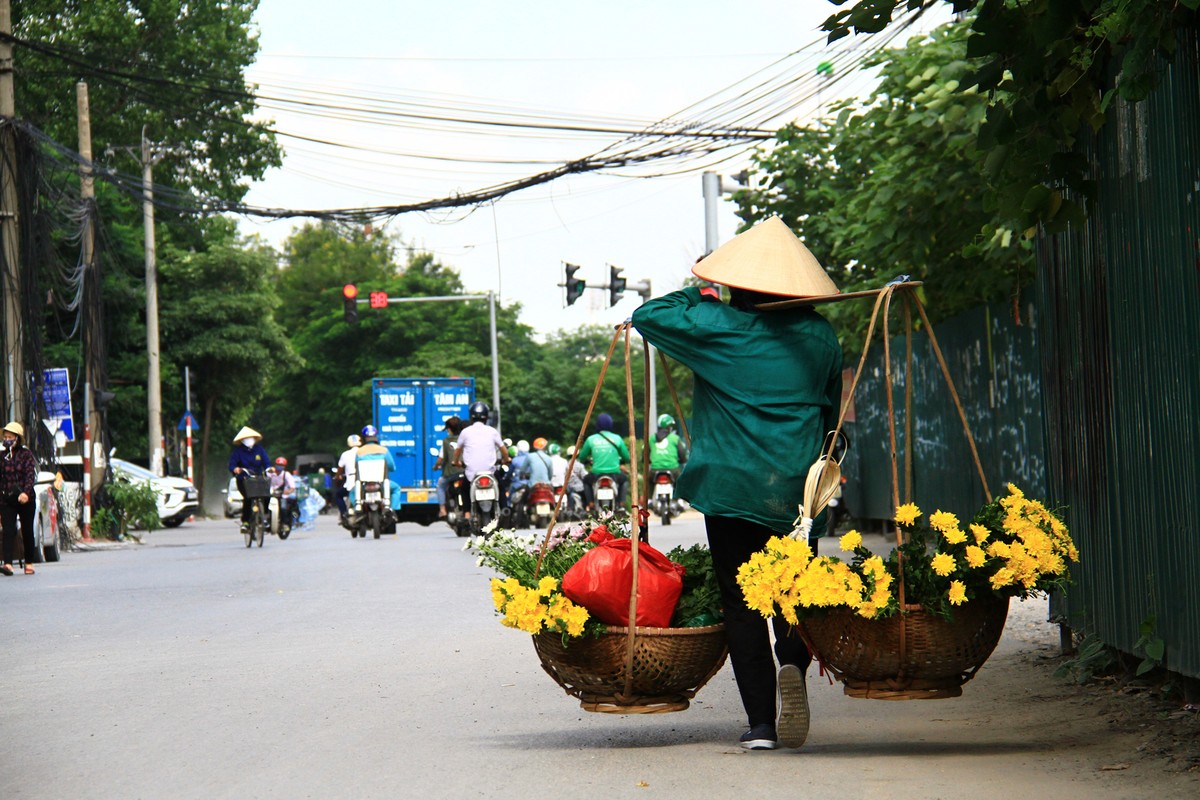 &quot;Mùa Thu vào hoa Cúc...&quot; (Thơ tình cuối mùa Thu - Xuân Quỳnh).