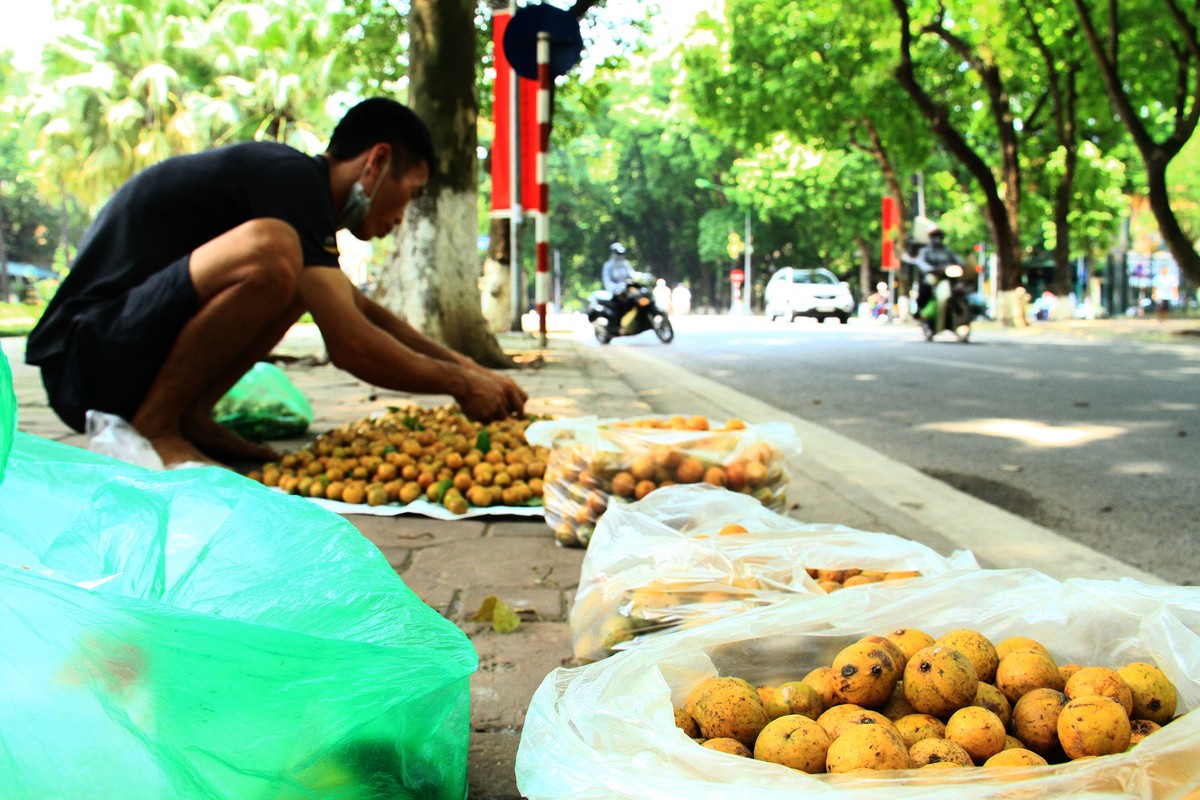&quot;Chợ sấu&quot; trên phố Phan Đình Phùng.