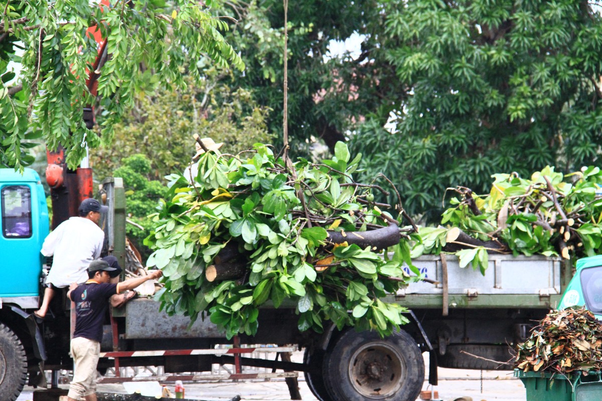 Công tác dọn dẹp hậu quả của bão đang được đẩy nhanh. Công tác dọn dẹp hậu quả của bão đang được đẩy nhanh.