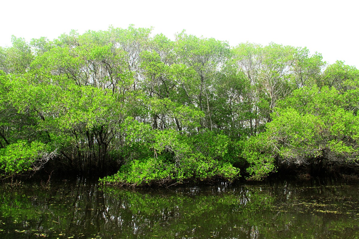 Mà còn góp phần làm giảm đáng kể thiệt hại của bão số 9 vừa qua. Mà còn góp phần làm giảm đáng kể thiệt hại của bão số 9 vừa qua.