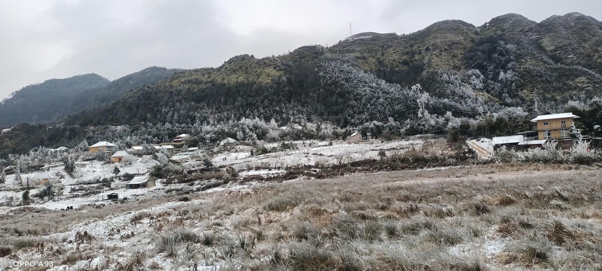 Y Tý mùa Đông 2021.