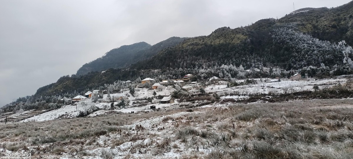 Hình ảnh Y Tý giờ như trong những bức thiệp Giáng sinh.