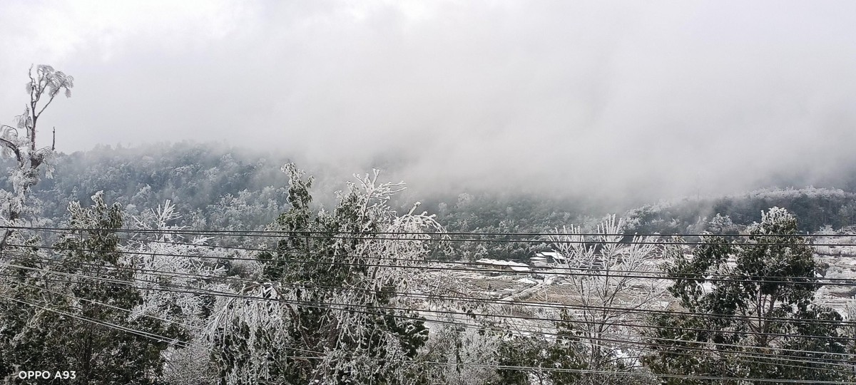 Y Tý vẫn đang mù mịt, hơi lạnh bao phủ.