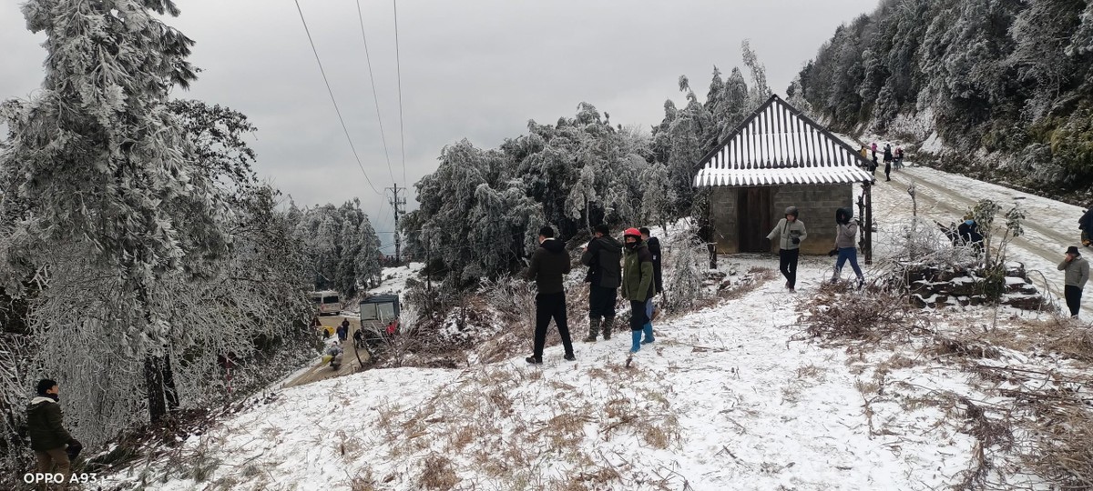 Du khách thích thú với khung cảnh núi rừng trắng xóa như thế này.