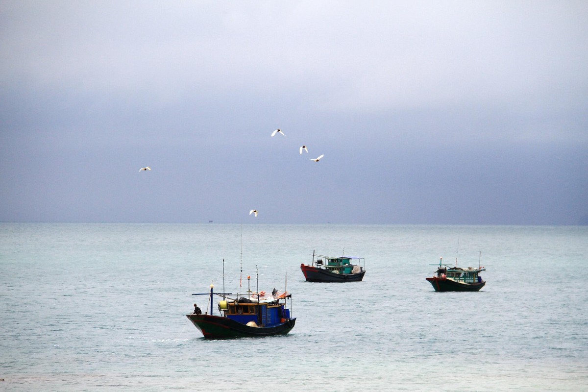 Bình yên đảo Trần. Ảnh: Thành Nguyễn. Bình yên đảo Trần. Ảnh: Thành Nguyễn.
