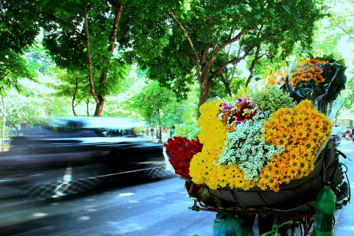 Một hình ảnh không thể thiếu của phố xá Hà Nội. Ảnh: Thành Nguyễn.