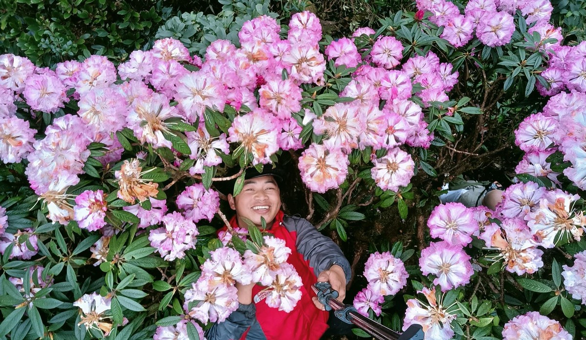 Du khách thích thú checkin bên hoa.