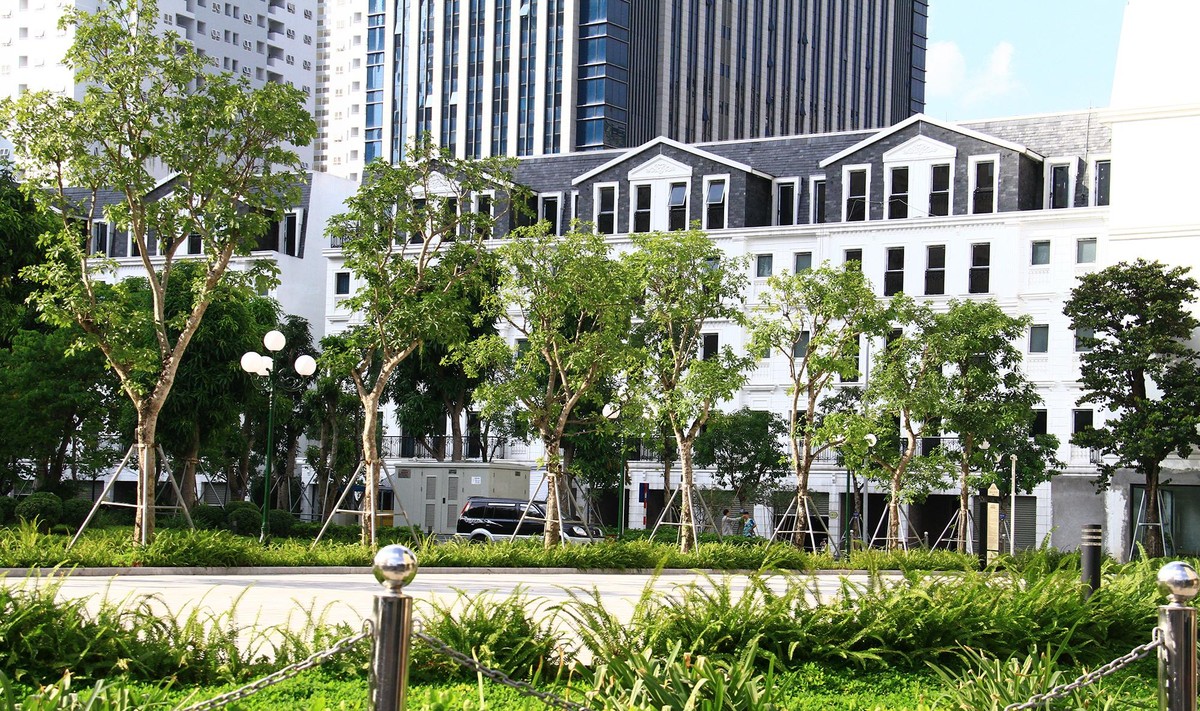 Thời gian qua, không ít biệt thự, shophouse đã có mức tăng giá từ 2 - 3 lần. Ảnh: Thành Nguyễn.