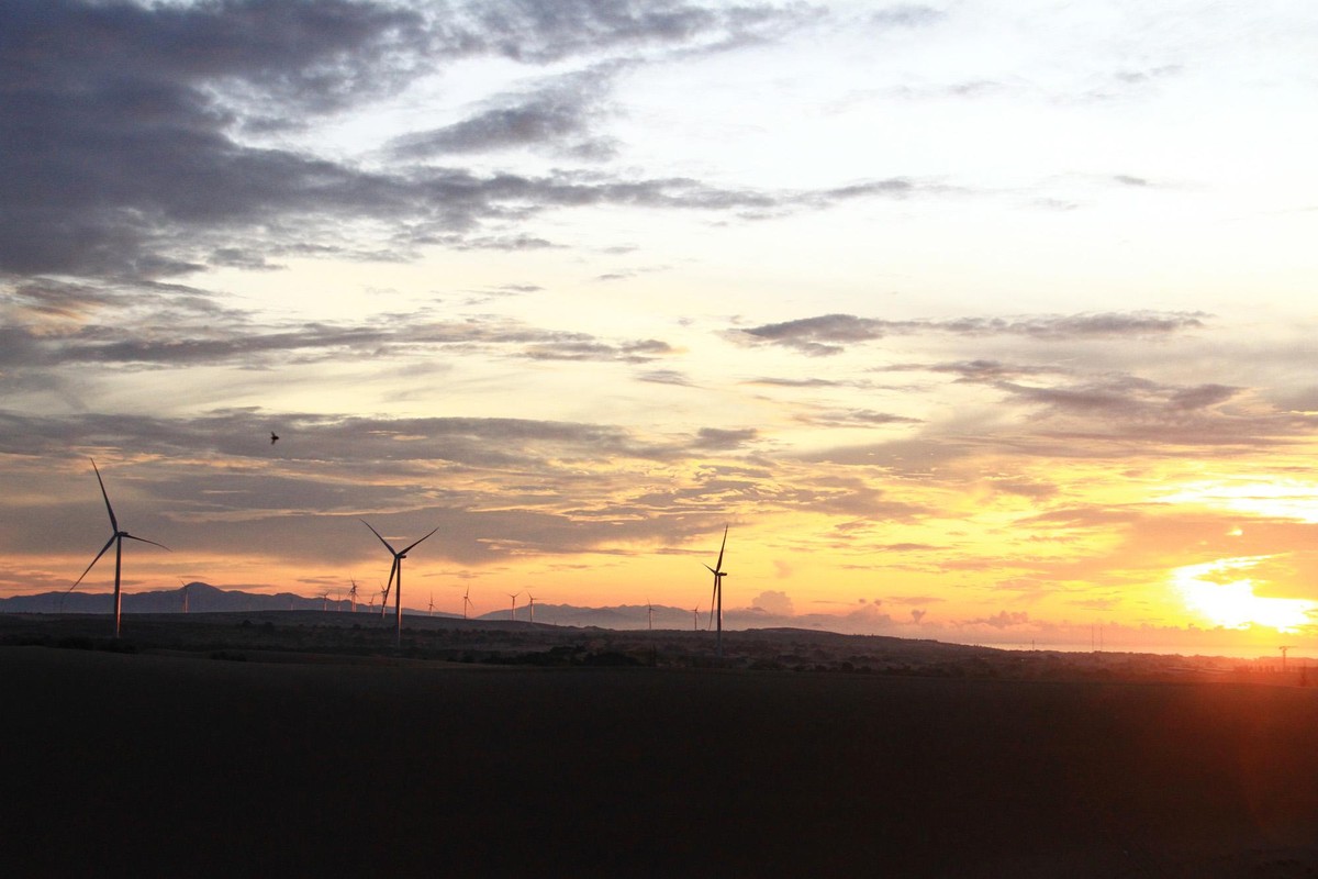 Cánh đồng quạt gió nhìn từ Bàu Trắng.