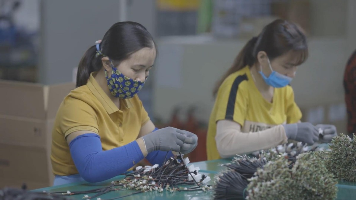 Hoạt động của các doanh nghiệp đã trở lại trạng thái bình thường.