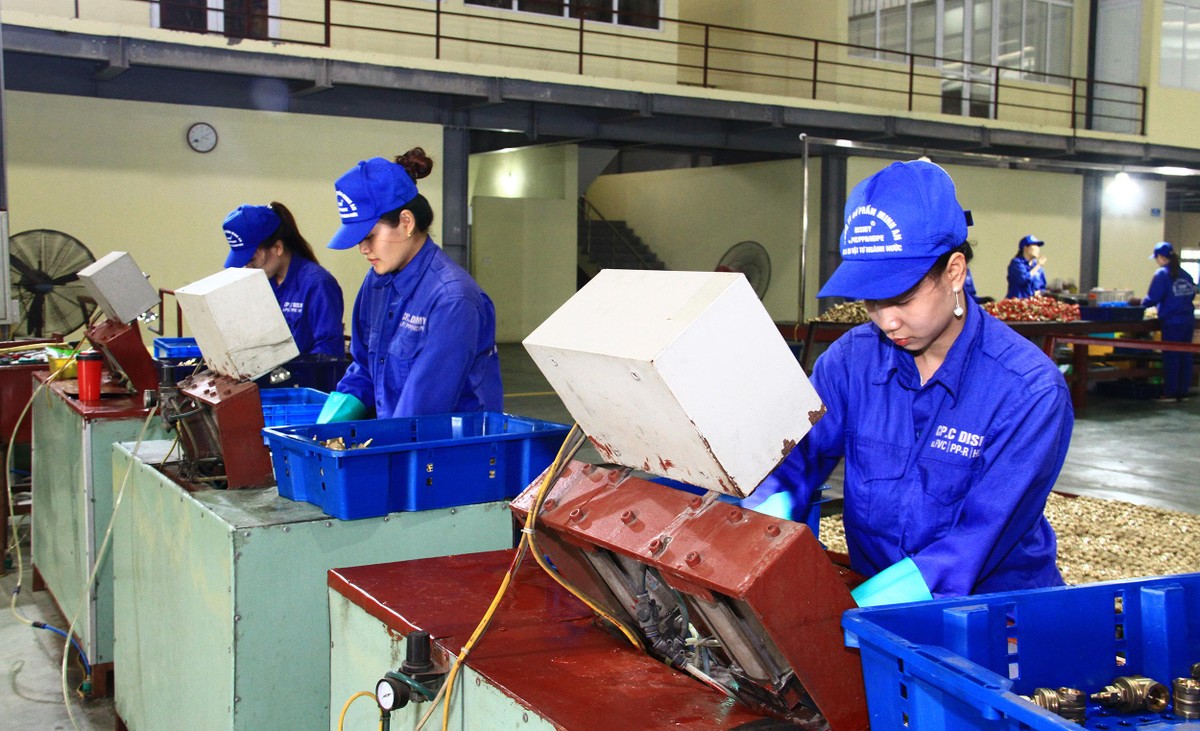 Cùng với việc thu hút tốt dòng vốn FDI, các doanh nghiệp trong nước cũng đang có nhiều kế hoạch mở rộng sản xuất, đẩy mạnh đầu tư dự án, nhà máy mới. Ảnh: Thành Nguyễn. Cùng với việc thu hút tốt dòng vốn FDI, các doanh nghiệp trong nước cũng đang có nhiều kế hoạch mở rộng sản xuất, đẩy mạnh đầu tư dự án, nhà máy mới. Ảnh: Thành Nguyễn.