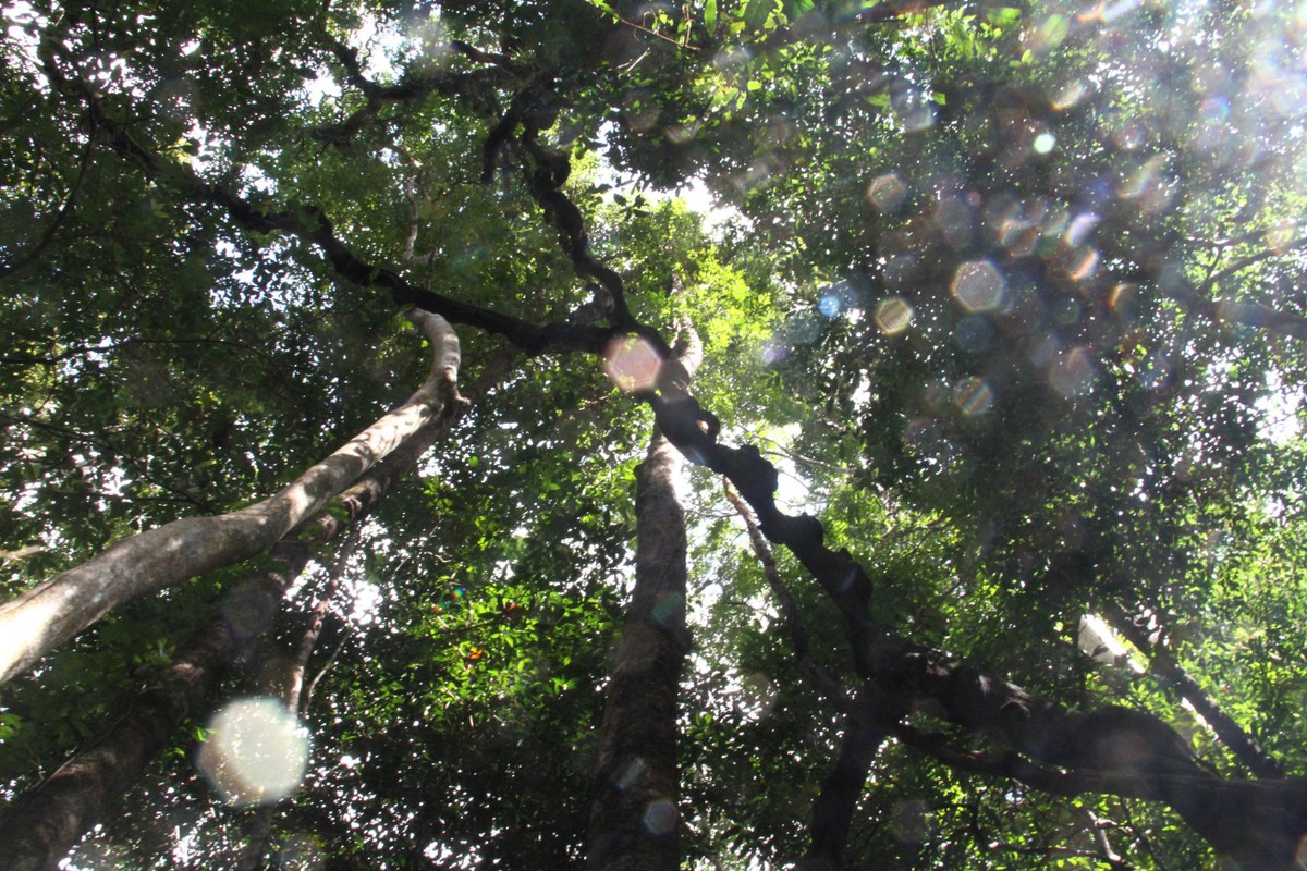 Cơn mưa nắng. Ảnh: Thành Nguyễn.