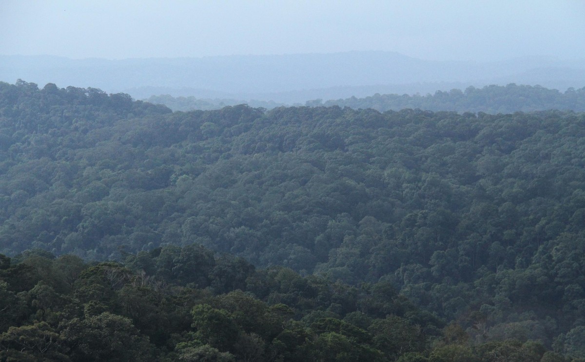 Toàn cảnh Vườn Quốc gia Bù Gia Mập. Ảnh: Thành Nguyễn.