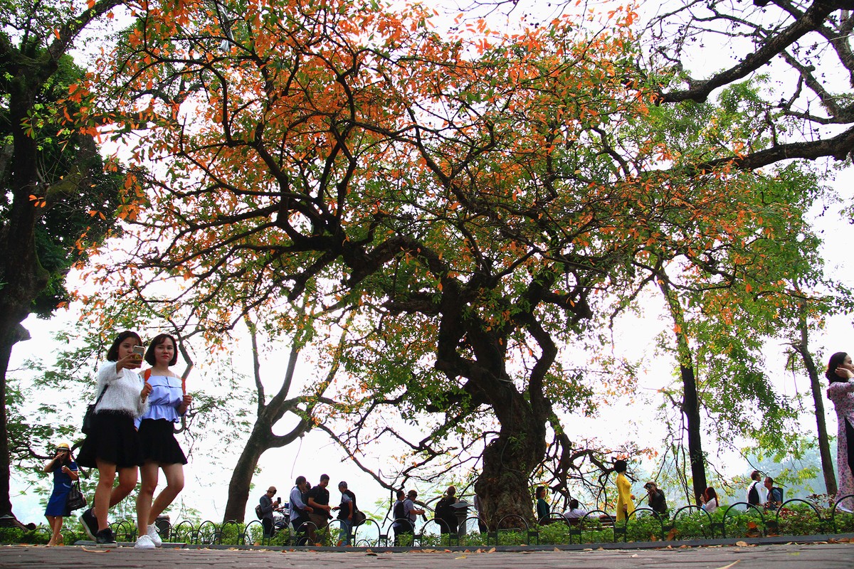 Thu Hà Nội . Ảnh: Bình Minh.
