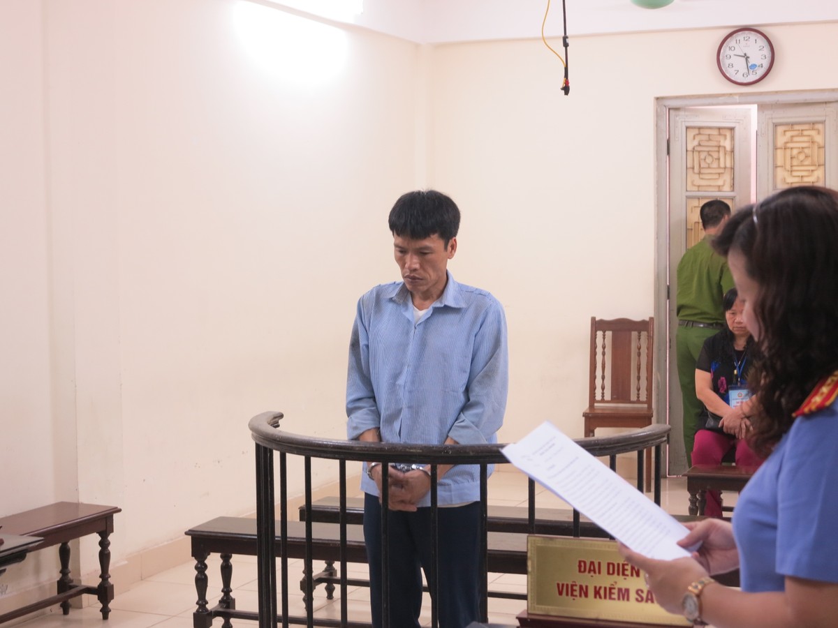 Cán bộ Sở Tài nguyên - Môi trường Hà Nội “rởm” lừa chạy sổ đỏ lĩnh án 11 năm 6 tháng tù ảnh 1