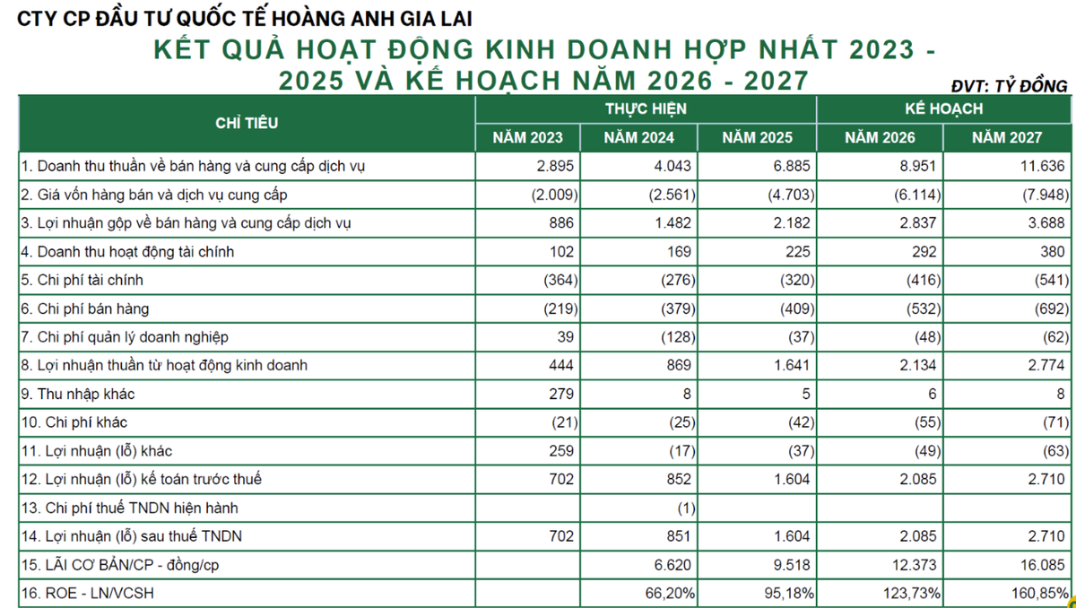 Các chỉ tiêu tài chính của CTCP Đầu tư quốc tế Hoàng Anh Gia Lai