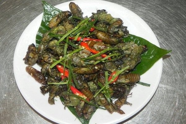 Thạc sỹ lương không đủ sống, bỏ bục giảng đi nuôi dế ảnh 7